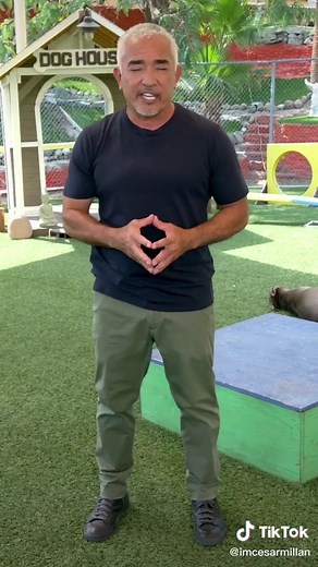 How to Greet a Dog: Essential Tips for Pet Parents