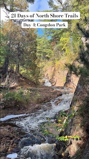 🍂 Congdon Park: Duluth’s Hidden Fall Oasis 🌊🍁