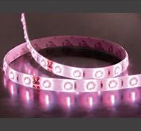 [Hot Item] SMD 3528 Low Voltage LED Strips