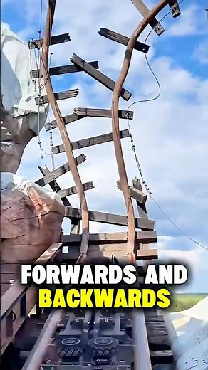 Top 5 Roller Coasters at Walt Disney World 🏰🎢