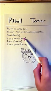 Pit bull Terrier #songlyrics #2025