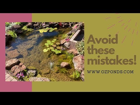 Mistakes to avoid when building a pond