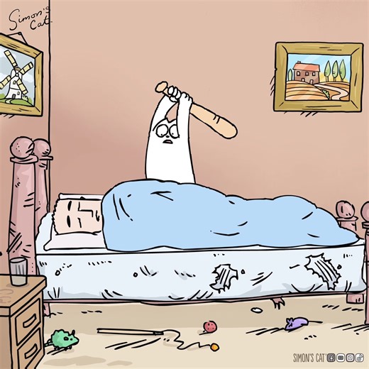 Are you UP yet? Morning wake up call from hungry cats! 😾 | Simon's Cat