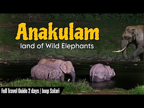 Must visit place near Munnar | ANAKULAM | Elephant view point & Jeep Safari | Full Travel Guide