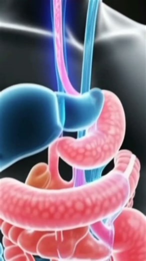 bady is health fruit 🍓🍓#edit #varshachoudhariofficial #aivideo #automobile 🥀🥀🥰🚭🍊🍑💪🍊