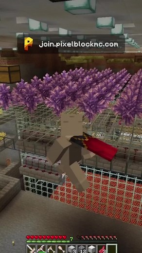 This base is so Rich! #minecraftsmp #minecraft #minecraftsmpserver #smp #survivalserver #smpserver