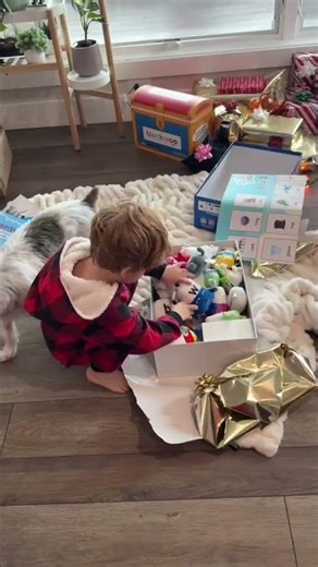 Alphablocks Plush and Card Gift Set #alphablocks #plush #alphablocksreal #phonics #pianocover