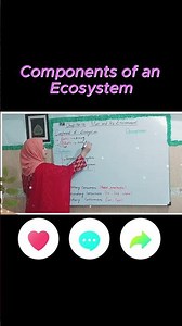 Components of an Ecosystem