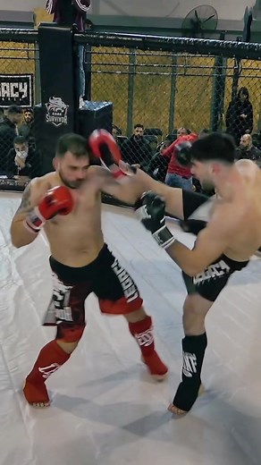 Cage Survivor: Tactics for Combat Strike 3