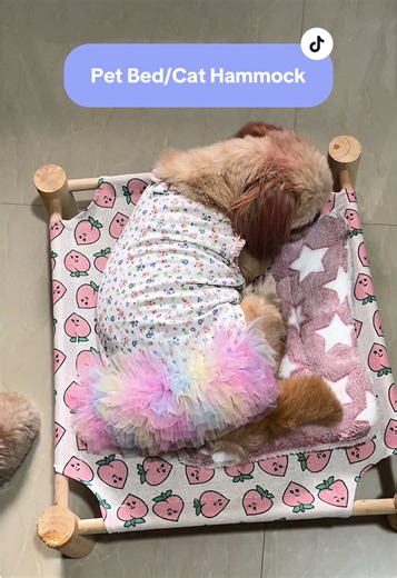 Excited masyado di pa nga gawa 😅 #petbed #elevatedpetbed #dogbed #catbed #cathammockbed