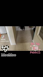 5.8K views · 176 reactions | We are so surprised we did not get any...