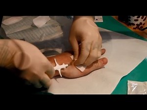 CeBIT 2016 - Preview: Der Bio-Hacker