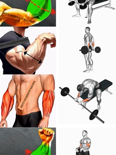 homeworkout sur TikTok