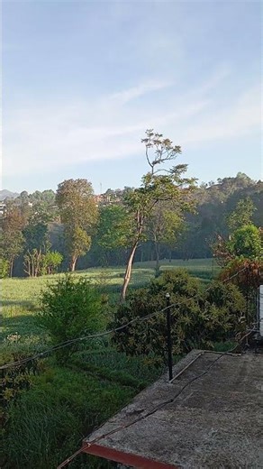 Java Hai Mohabbat #geetmankemeet #lovemusic #song