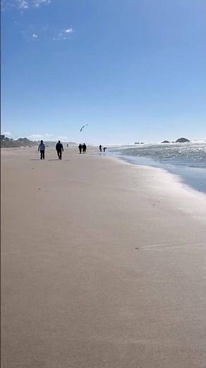 ☀️ Walking in Oregon | Lincoln City Beach Sunshine & Pacific Waves 🌊