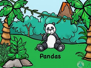 Panda- Animal Research Paper