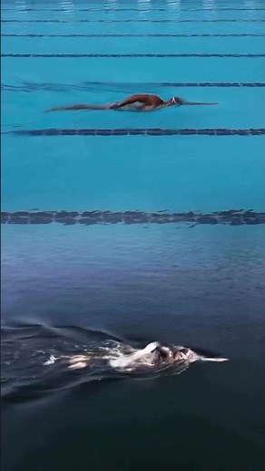 Nageur d’eau libre ou de bassin ?