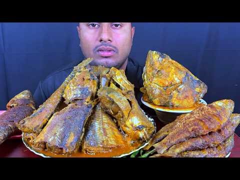 Spicy Fish Curry, Fish Fry, Fish Head Curry with Rice Eating || Real Mukbang Show