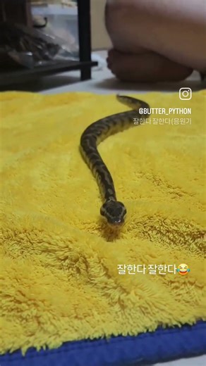 왜 앞으로 안가아~?ㅋㅋㅋ