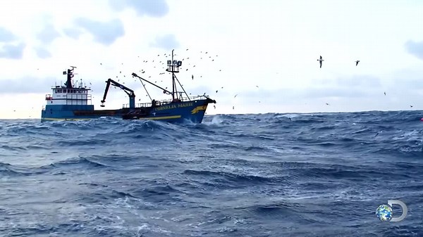 Tragic Details That Have Come Out About Deadliest Catch