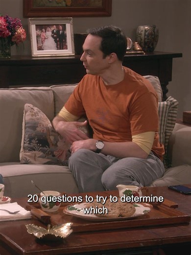 The Big Bang Theory: Fun Game of 20 Questions
