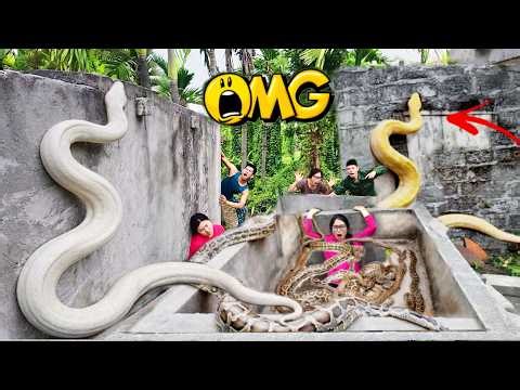 3 Brave Hunters Risk Their Lives to Rescue Girl from Giant White Python in Abandoned House
