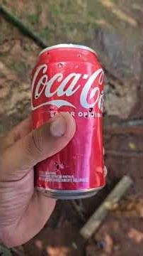 Probando la precisión y la letalidad de balas cal 22 con perdigones CCI shotshell 22lr