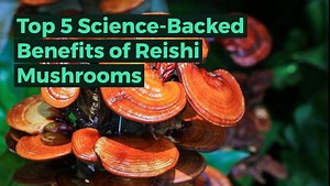 Reishi Mushroom Benefits List