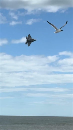 The F-22 in Its Element ✈️✨