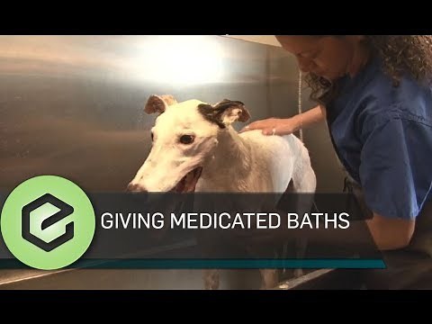 Medicated Bath for Dogs