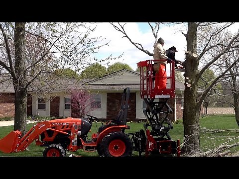 Scissor Lift to Cut Down A Tree?