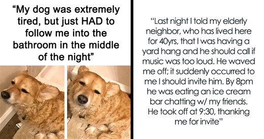 50 Uplifting And Wholesome Posts That Are As Close As It Gets To Anti-Depressants