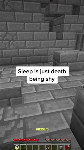 Exploring the Concept of Sleep and Death in Minecraft