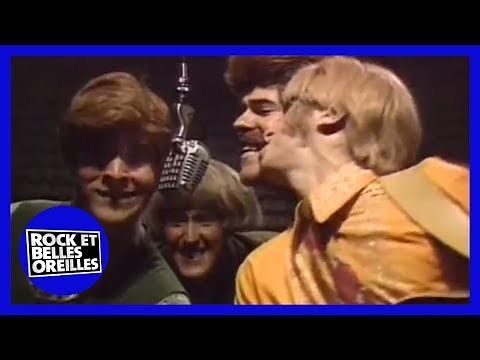 Le Feu Sauvage de l'Amour : Rock et Belles Oreilles (RBO)