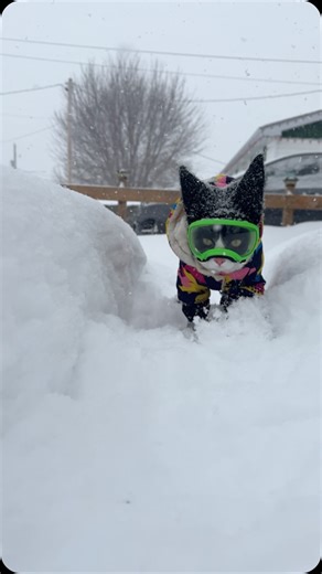 874K views · 256K reactions | Winter is coming... Starting to...