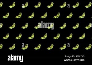 Geometric Melon Pattern on Dark Background, Animated Abstract Yellow Green Fruit Motion Graphics Seamless Loop, 4K Stock Video Footage - Alamy