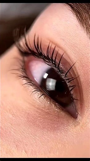 Korean Lash Lift Technique Long Lasting