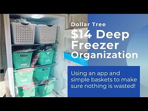 Dollar Tree Deep Freezer Organization | No More Waste!