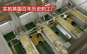 实拍英国100年历史工厂：每天产100万瓶酒，全程自动化太壮观了！