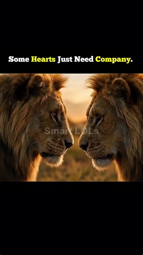 Kindness Answered the Knock.