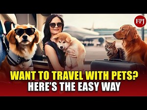 How to Travel with Your Pet on a Plane – Complete Procedure & Pro Tips!