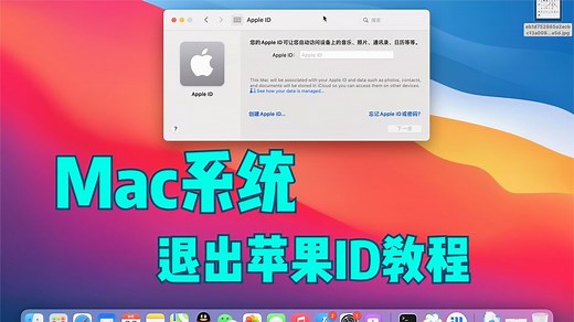 Mac 退出 apple id教程