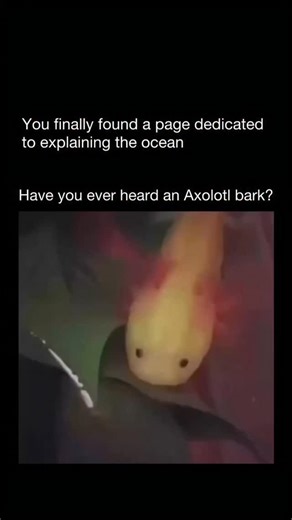 Universalhub on Instagram: "This video captures the unique and rarely heard vocalizations of an Axolotl, also known as the Mexican walking fish. As it rests on a leaf underwater, the Axolotl lets out a series of high-pitched, chirping sounds that remarkably resemble a tiny "bark". While these adorable amphibians are usually silent, they can occasionally make sounds by gulping air or releasing bubbles, adding to their mysterious and charming reputation. This clip serves as a delightful discovery
