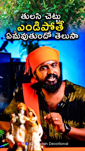 GOLDRAAIN DEVOTIONAL on Instagram: "తులసి చెట్టు ఎండిపోతే ఏమవుతుందో తెలుసా...? #jaishreeram🚩 గోల్డరైన్ డివోషనల్ హిందూ ధర్మ రక్షణకై కృషి చేస్తుంది 🙏ధర్మో రక్షతి రక్షితః 7 2 0 7 0 8 7 9 7 1 #goldraainentertainments #goldraain #goldraaindevotional"