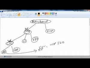Chapter 2 Dynamic Routing Routing Information Protocols Demo