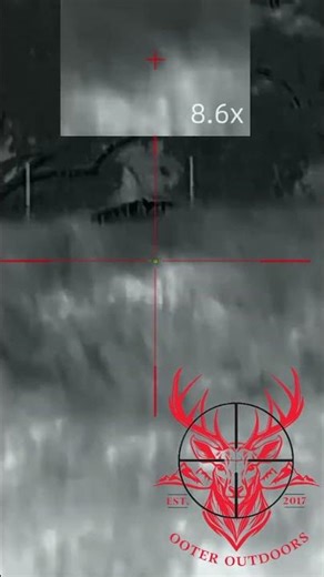 Solid impact with 6mm Creedmoor. #Infiray #thermalscope #feralhogs #australian
