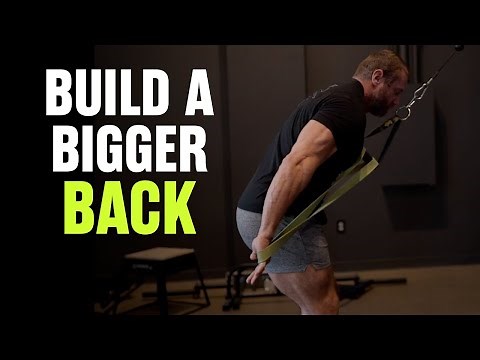 Best Back Exercises for Strength, Size, and Shoulder-Friendly Training | Judd Lienhard