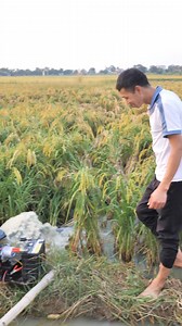 "MẪU BƠM TÁT LƯU LƯỢNG SỬ DỤNG BÌNH ẮC QUY TÁT CẤP NƯỚC CHO ĐỒNG RUỘNG" SIÊU BƠM AP 12V-24V ống 76 chuyến sử dụng để bơm tát lưu lượng, tát hầm, tát ao, làm thoáng mặt nước cho cá thở... công suất 300W cực kì tiết kiệm điện mà bơm mạnh như bơm 220V ngoài thị trường Toàn bộ linh kiện nhập chính hãng, chất lượng cao, bulong đai ốc vit 100% inox cao cấp chống han rỉ, động cơ mitsuba nhật bản không chổi than chạy bền bỉ cả ngày không nóng. Hotline 0921.718.222 -- 0918.465.222 #maybomnuoc #bomacquy #