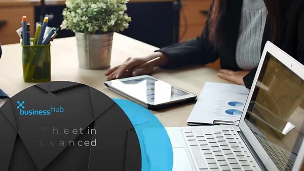 MYOB Advanced: Balance Sheet