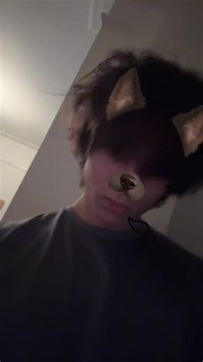 Cat Ears and Tail Accessories for Emoboys